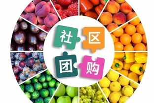 抚顺市社群、社区团购，实现快速裂变增长